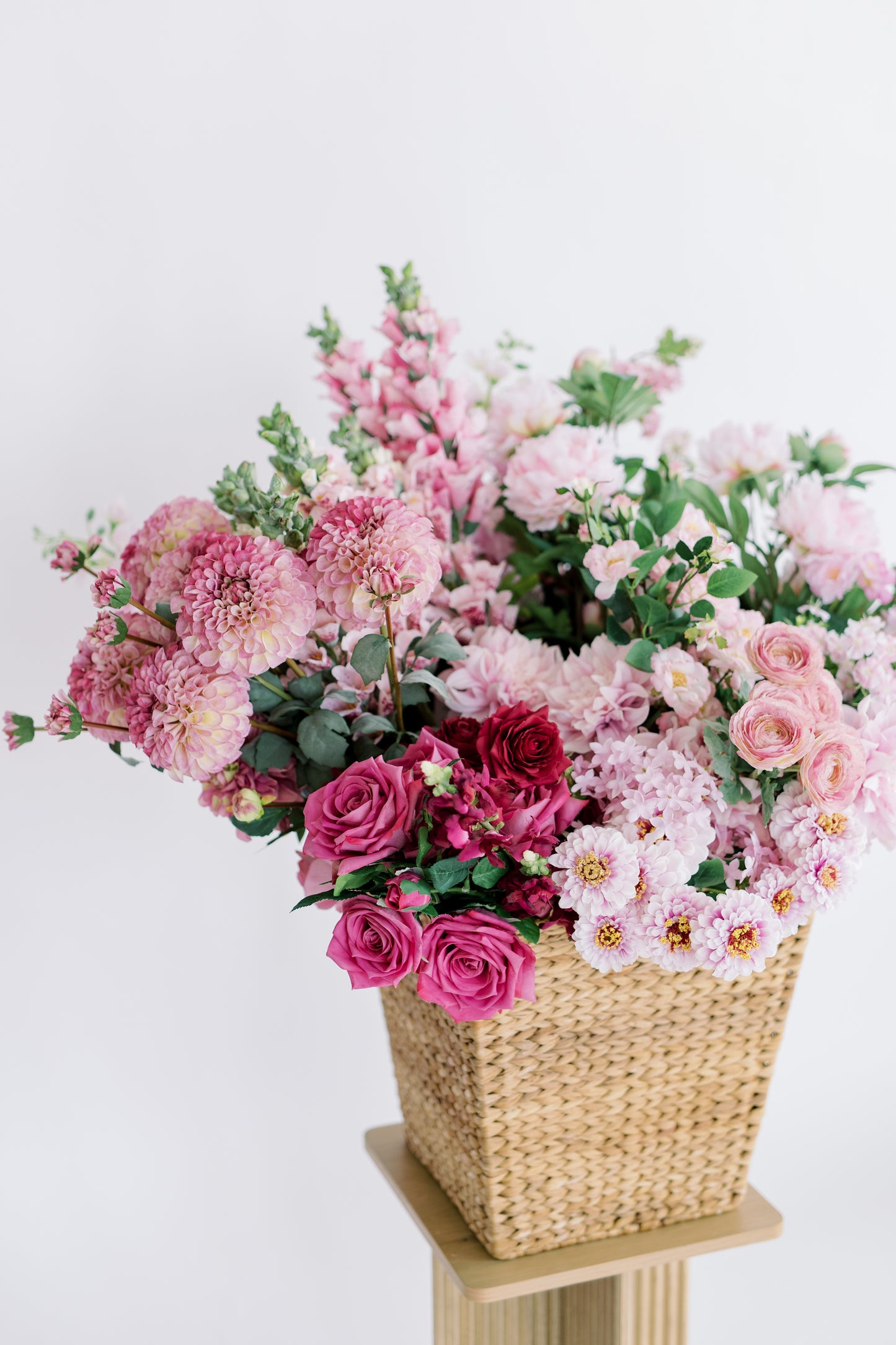 Cool Pink Collection
