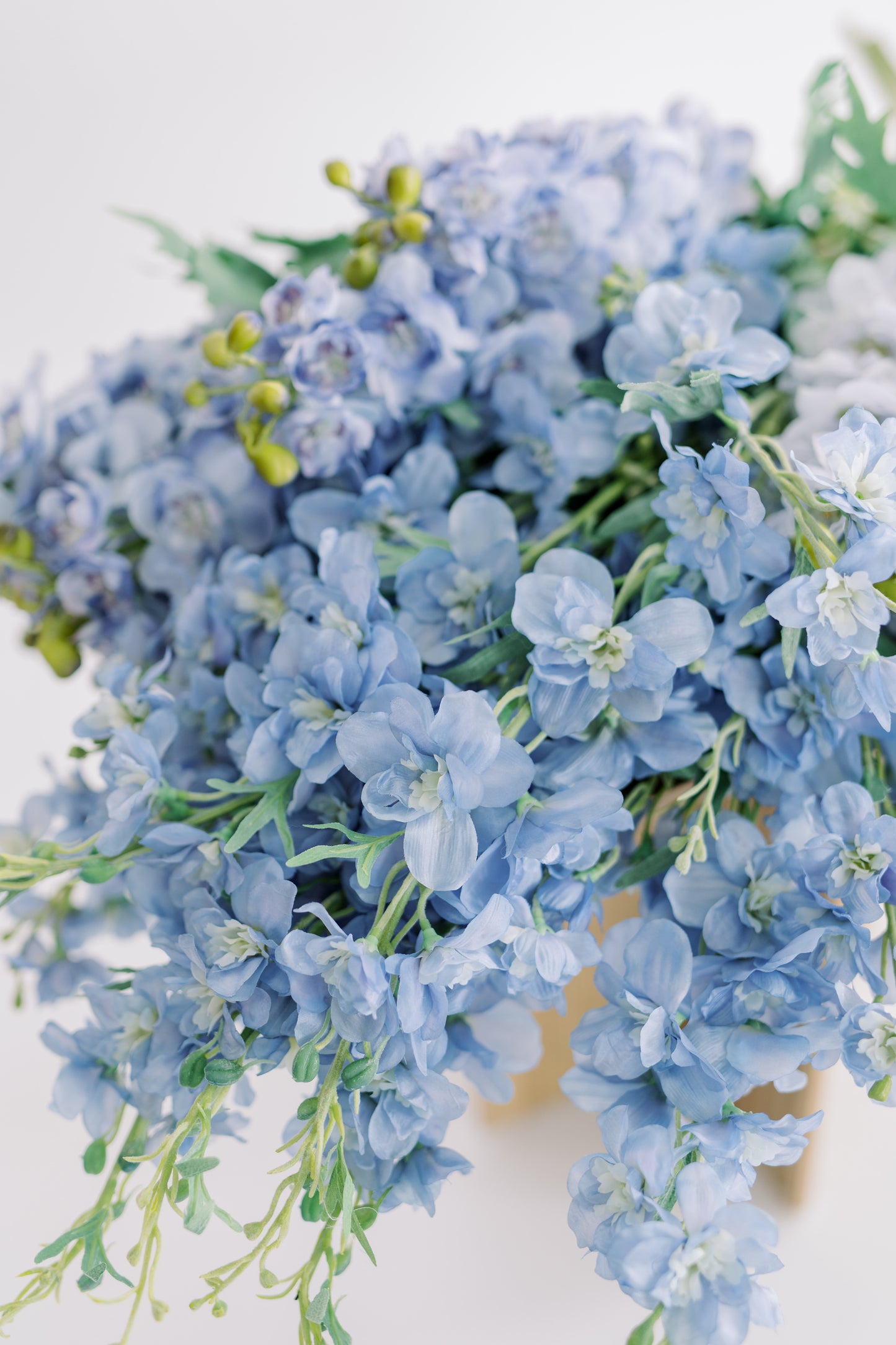 Blue Delphinium Collection